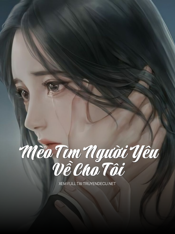 
                            Mèo Tìm Người Yêu Về Cho Tôi