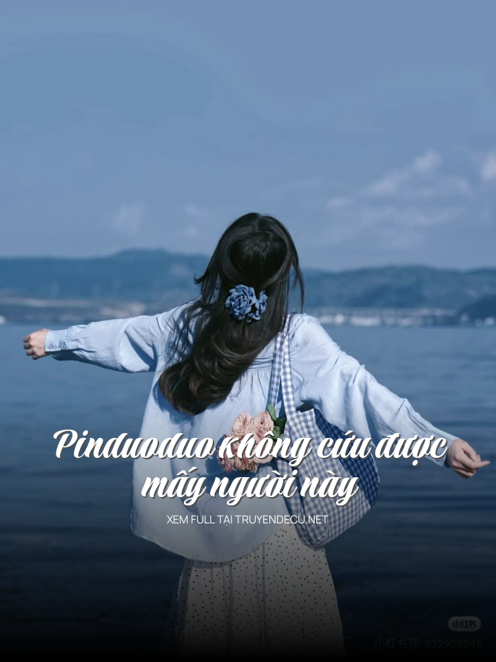 Pinduoduo Không Cứu Được Mấy Người Này