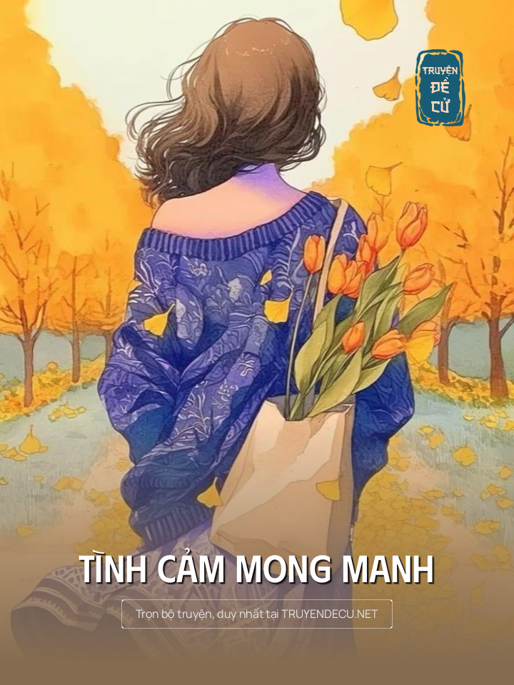 
                            Tình Cảm Mong Manh