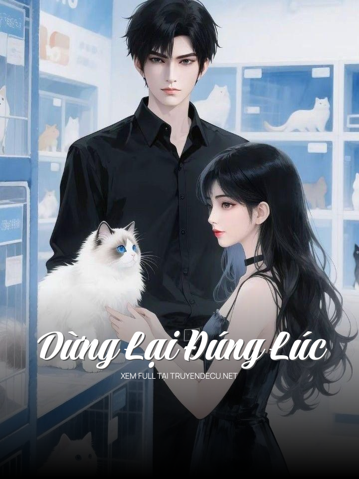 
                            Dừng Lại Đúng Lúc