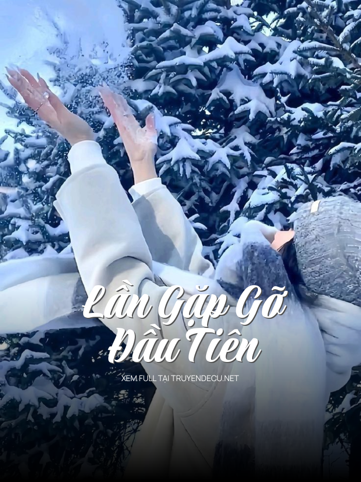 Lần Gặp Gỡ Đầu Tiên