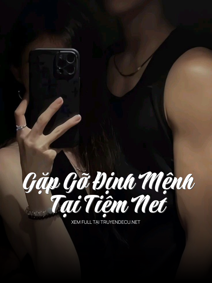 
                            Gặp Gỡ Định Mệnh Tại Tiệm Net