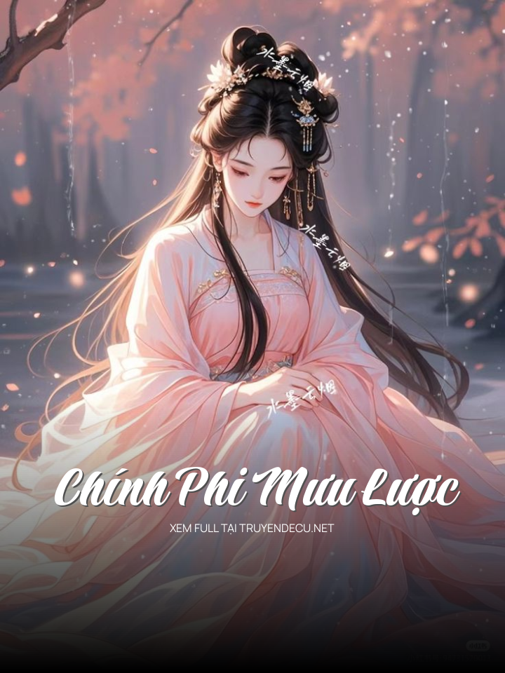 Chính Phi Mưu Lược