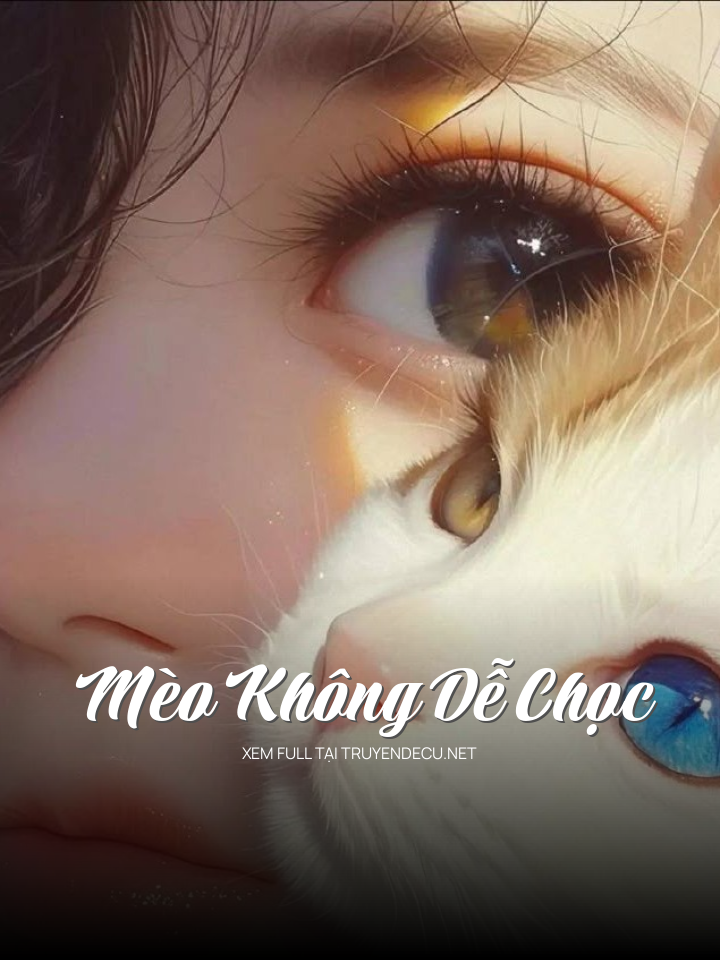 
                            Mèo Không Dễ Chọc