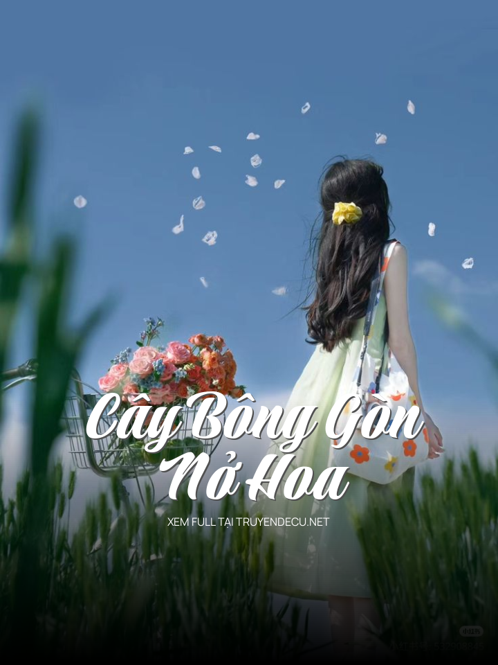 Cây Bông Gòn Nở Hoa