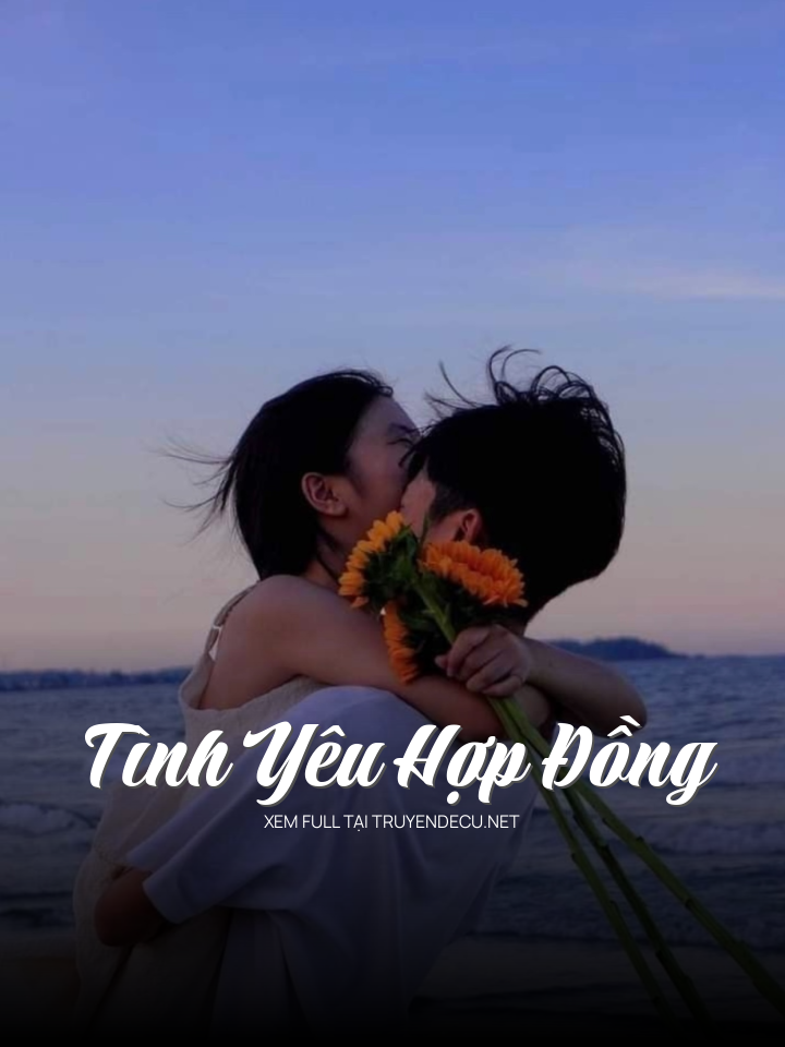 Tình Yêu Hợp Đồng