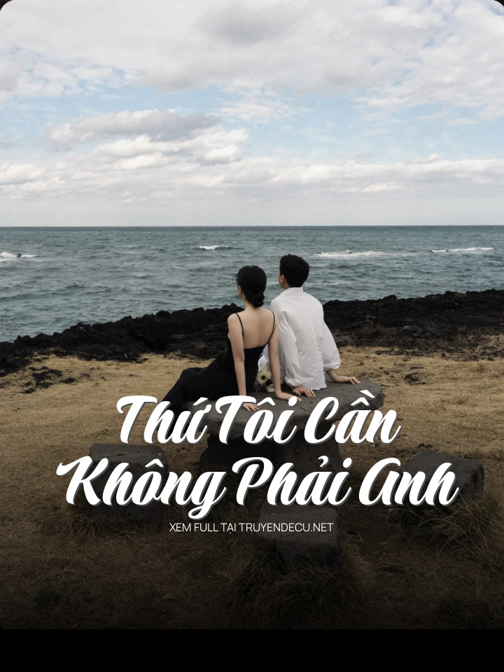 Thứ Tôi Cần Không Phải Anh