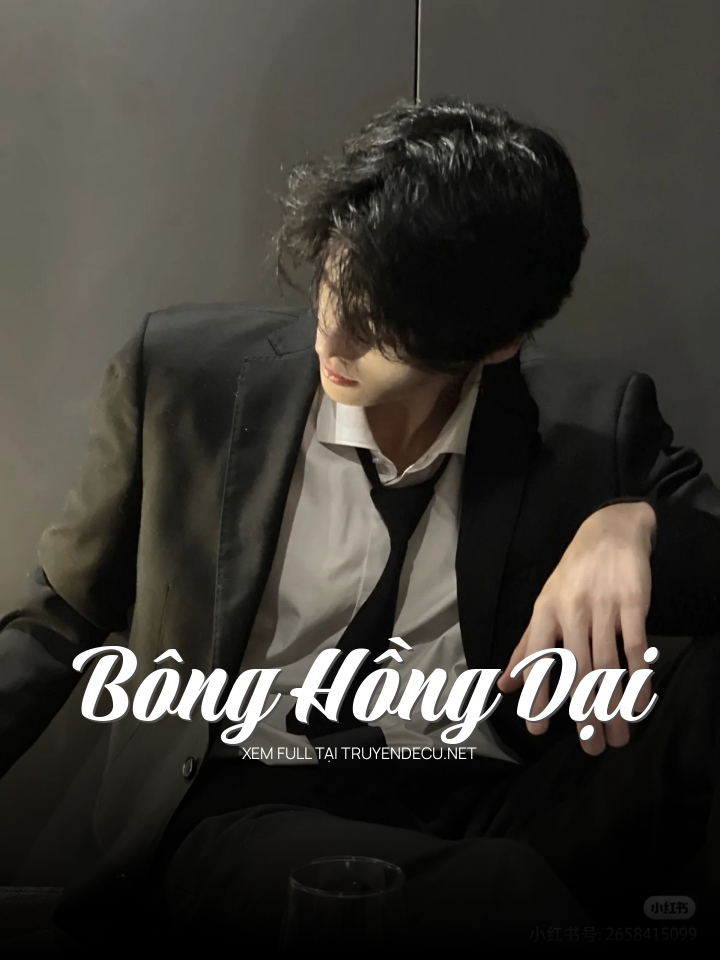 
                            Bông Hồng Dại