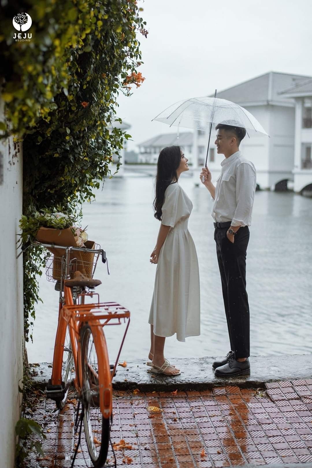 Vị Hôn Phu Thanh Mai Trúc Mã