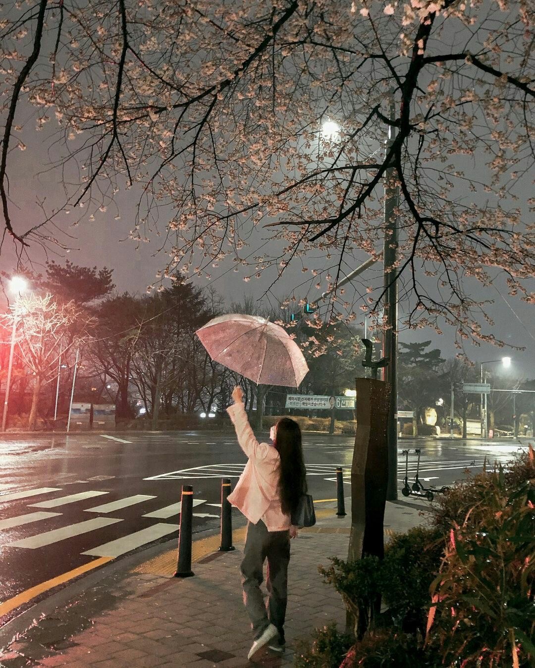 Chồng Tôi Bị Tai Nạn Mất Trí Nhớ