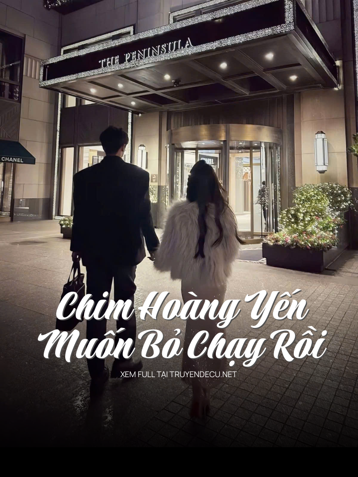 
                            Chim Hoàng Yến Muốn Bỏ Chạy Rồi