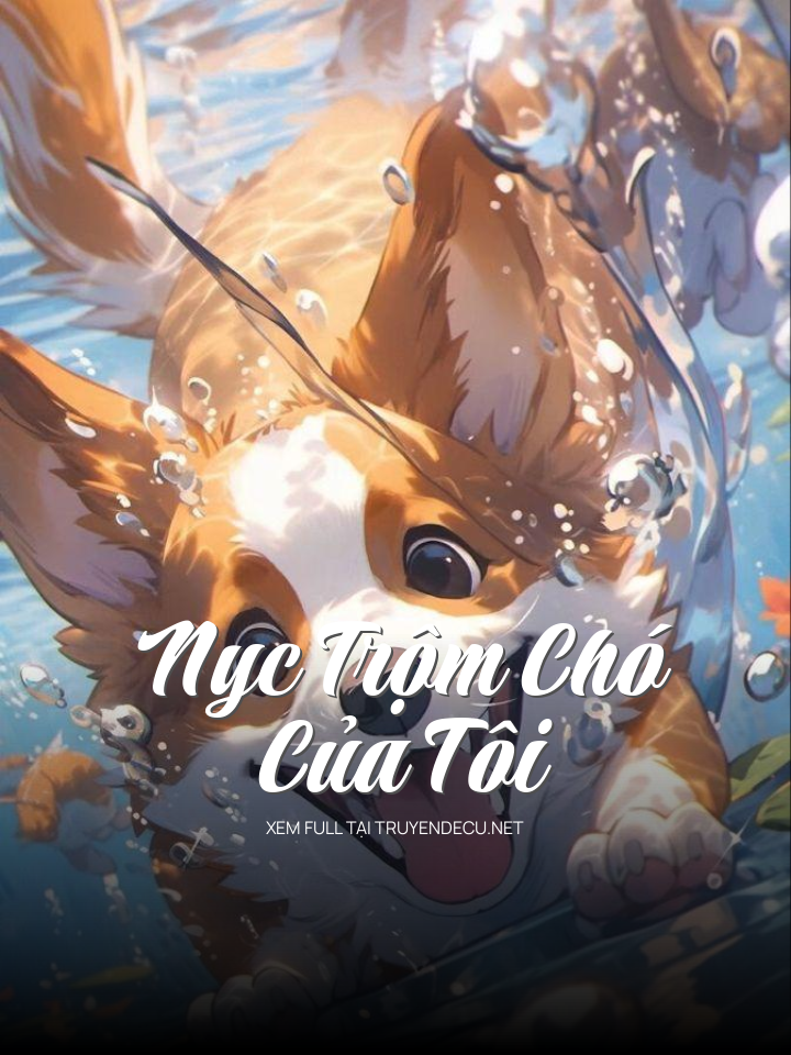 Nyc Trộm Chó Của Tôi
