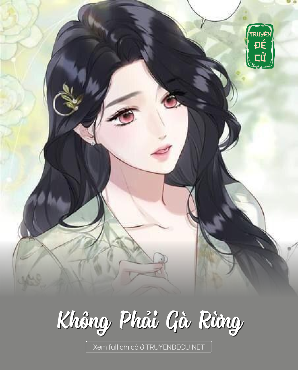 
                            Không Phải Gà Rừng