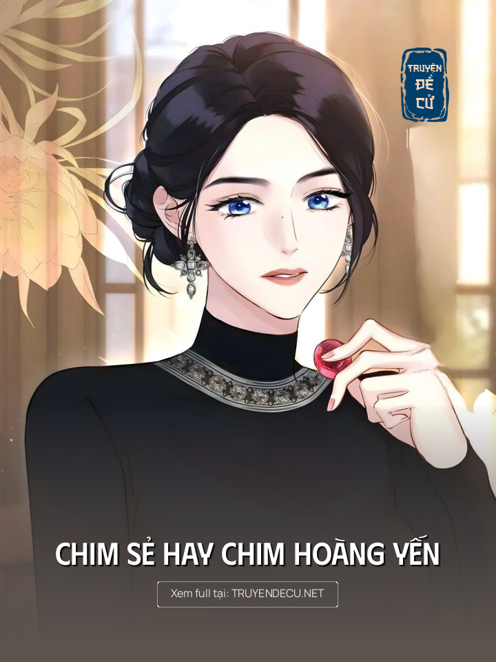 
                            Chim Sẻ Hay Chim Hoàng Yến