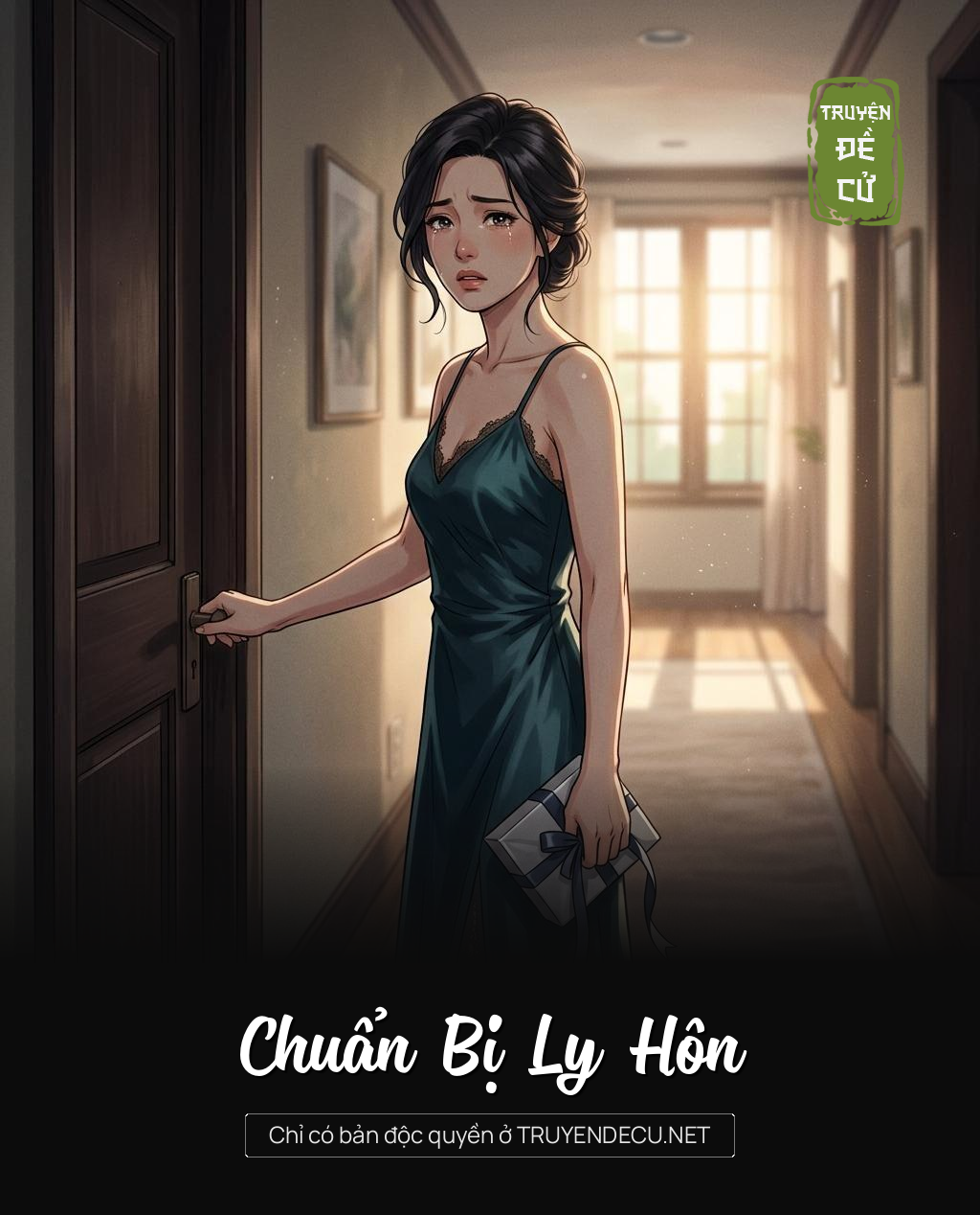 Chuẩn Bị Ly Hôn