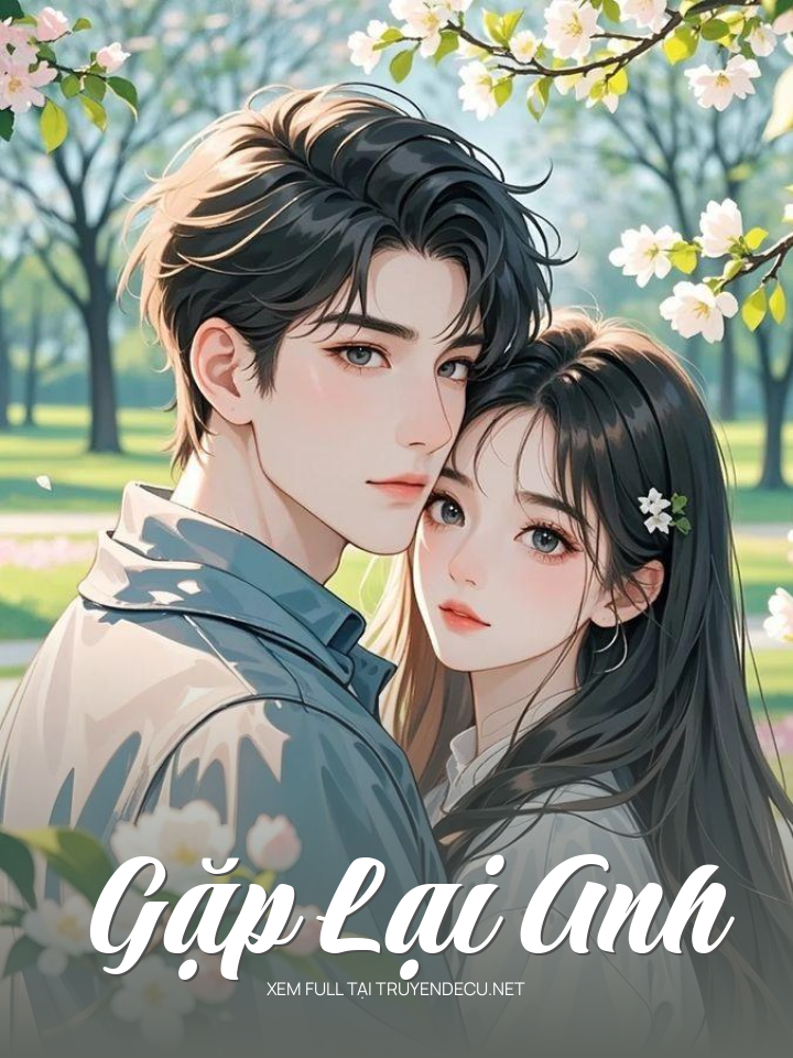 
                            Gặp Lại Anh