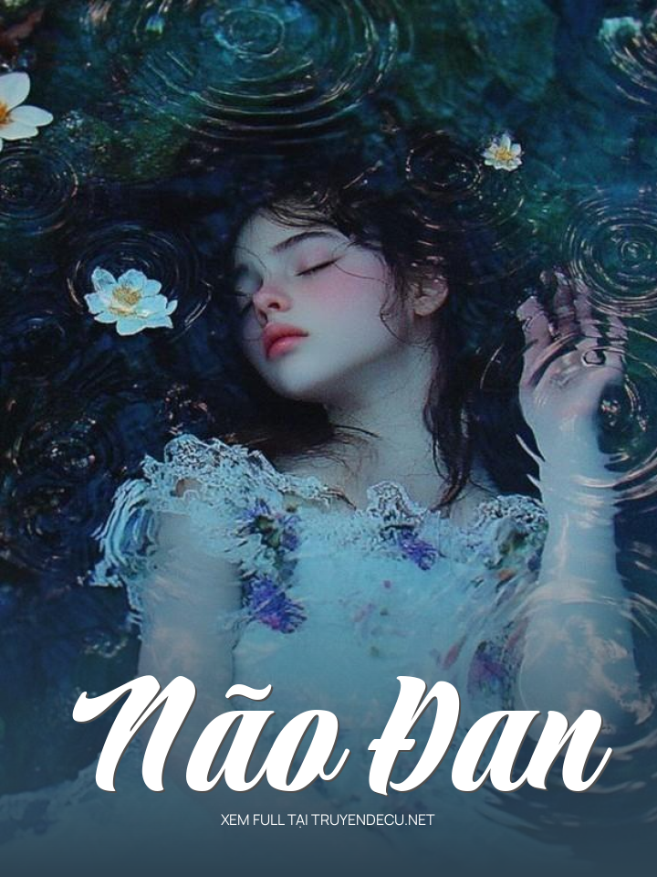 
                            Não Đan