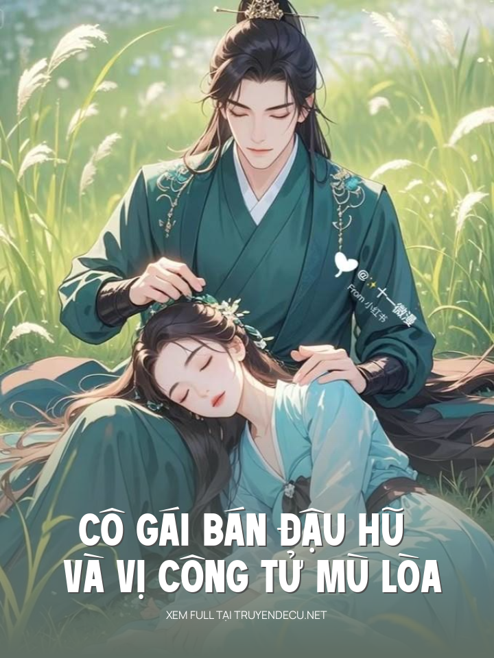 
                            Cô Gái Bán Đậu Hũ Và Vị Công Tử Mù Lòa