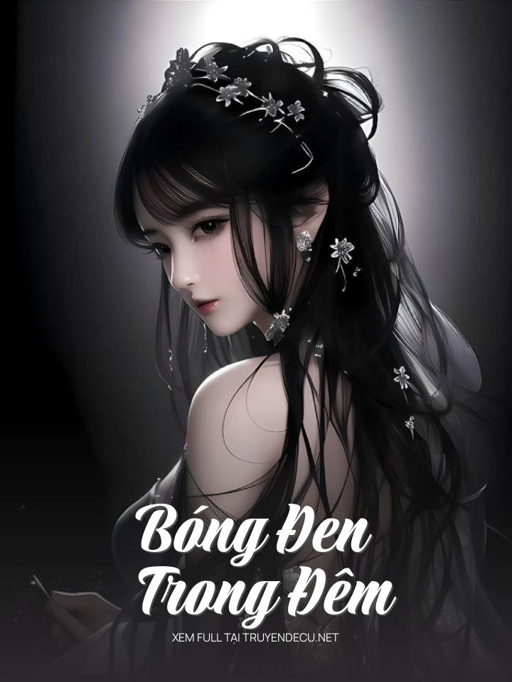 
                            Bóng Đen Trong Đêm