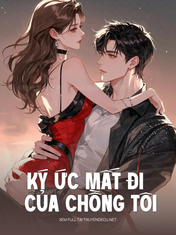 
                            Ký Ức Mất Đi Của Chồng Tôi