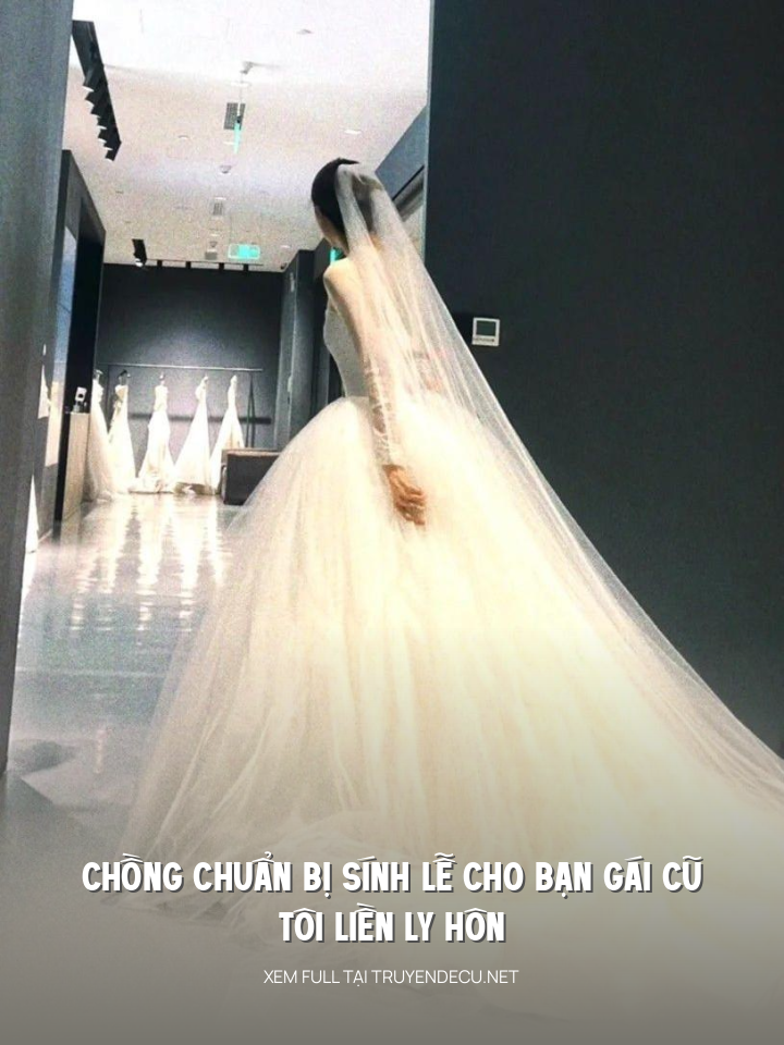 
                            Chồng Chuẩn Bị Sính Lễ Cho Bạn Gái Cũ, Tôi Liền Ly Hôn