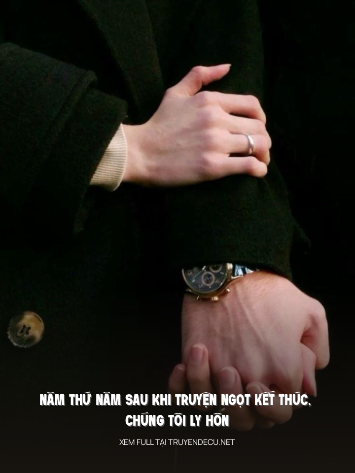 
                            Năm Thứ Năm Sau Khi Truyện Ngọt Kết Thúc, Chúng Tôi Ly Hôn