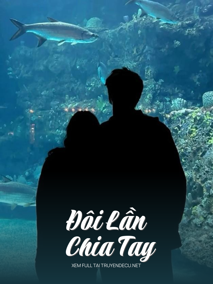 
                            Đôi Lần Chia Tay