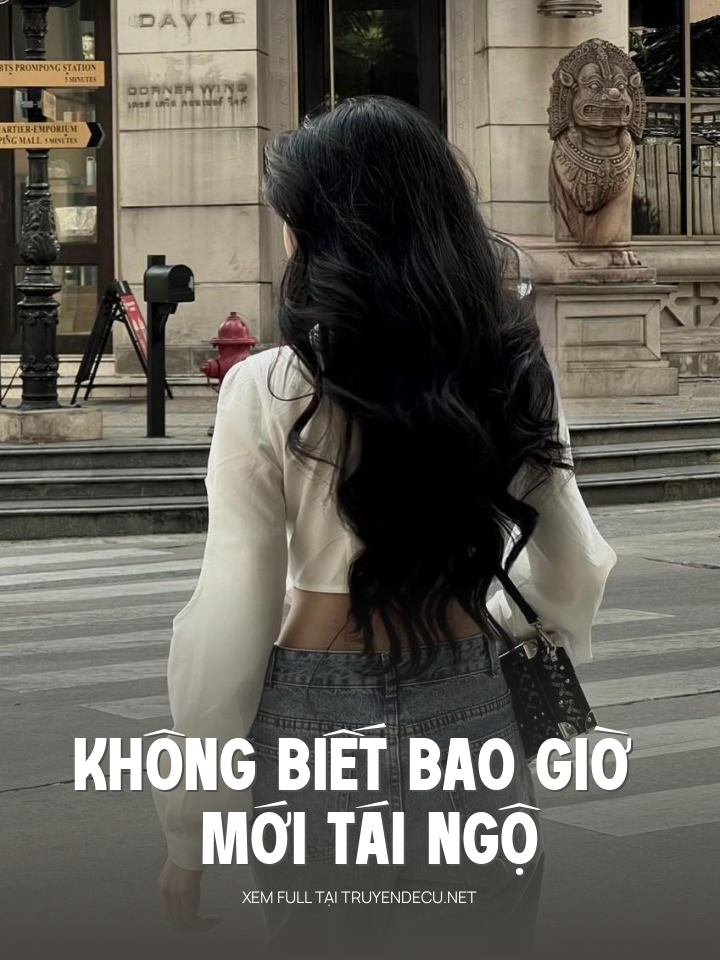 
                            Không Biết Bao Giờ Mới Tái Ngộ