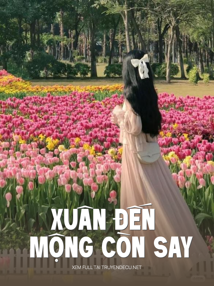 
                            Xuân Đến Mộng Còn Say
