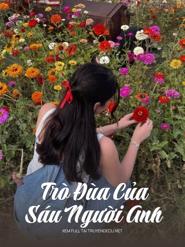 
                            Trò Đùa Của Sáu Người Anh