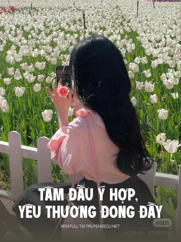 
                            Tâm Đầu Ý Hợp, Yêu Thương Đong Đầy