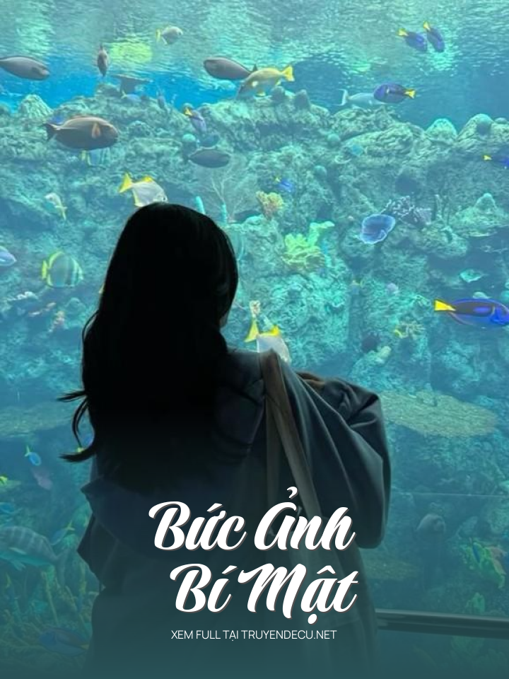 
                            Bức Ảnh Bí Mật