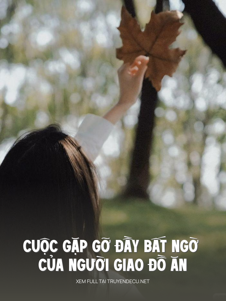 
                            Cuộc Gặp Gỡ Đầy Bất Ngờ Của Người Giao Đồ Ăn