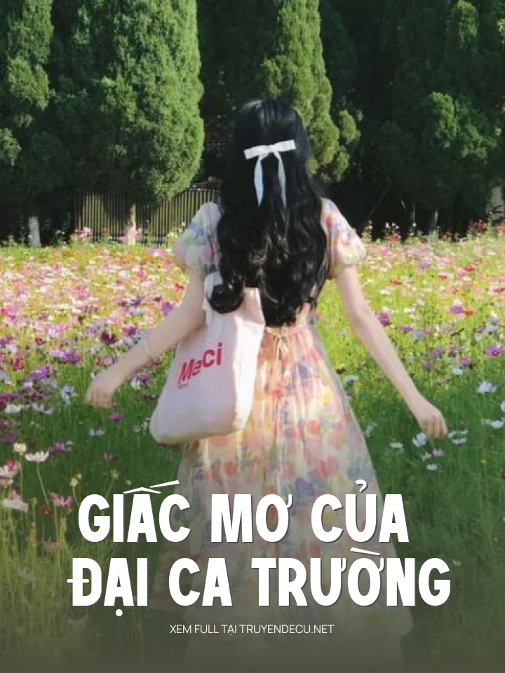 
                            Giấc Mơ Của Đại Ca Trường