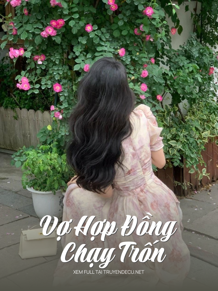 
                            Vợ Hợp Đồng Chạy Trốn