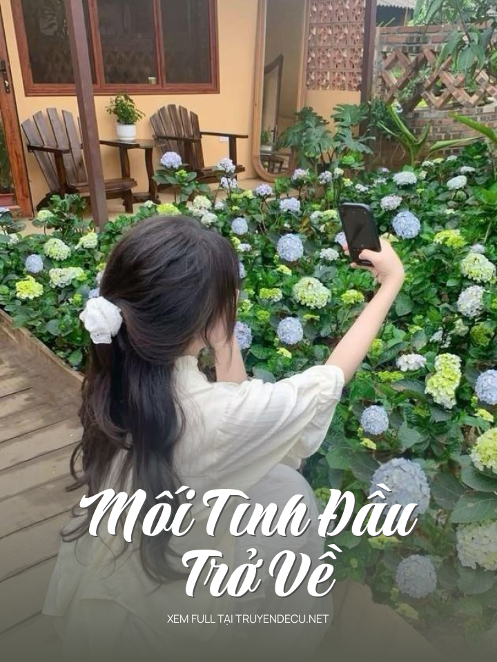 
                            Mối Tình Đầu Trở Về
