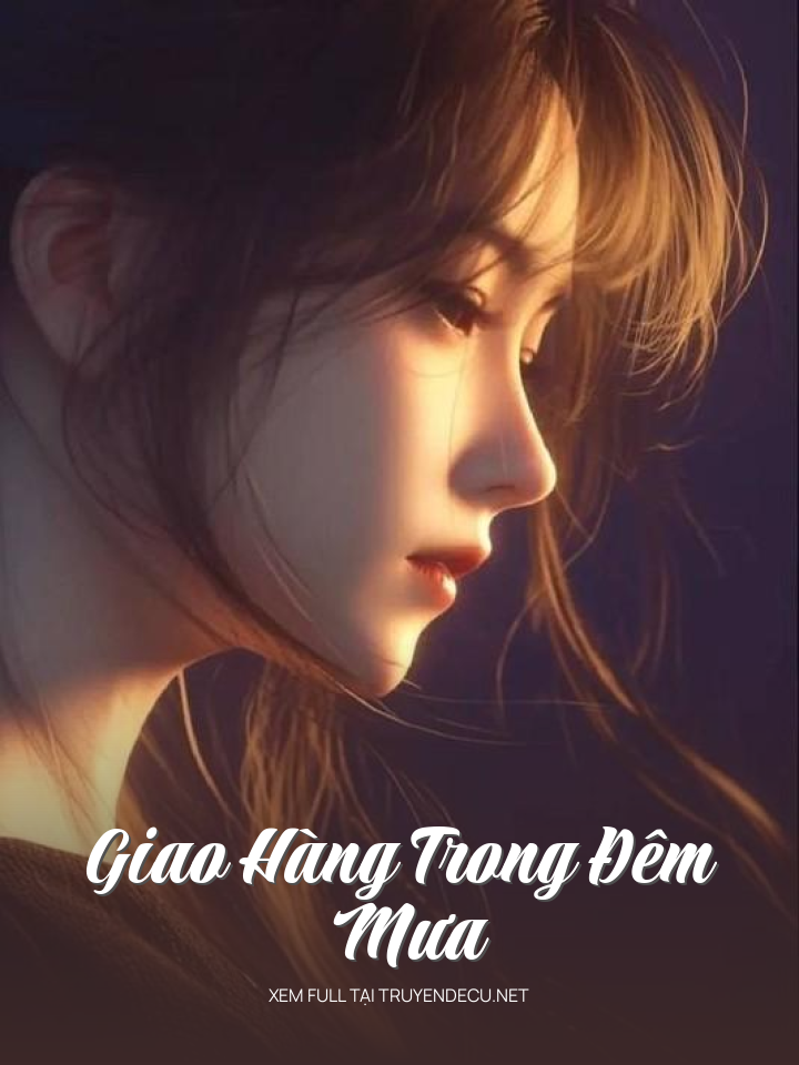 
                            Giao Hàng Trong Đêm Mưa