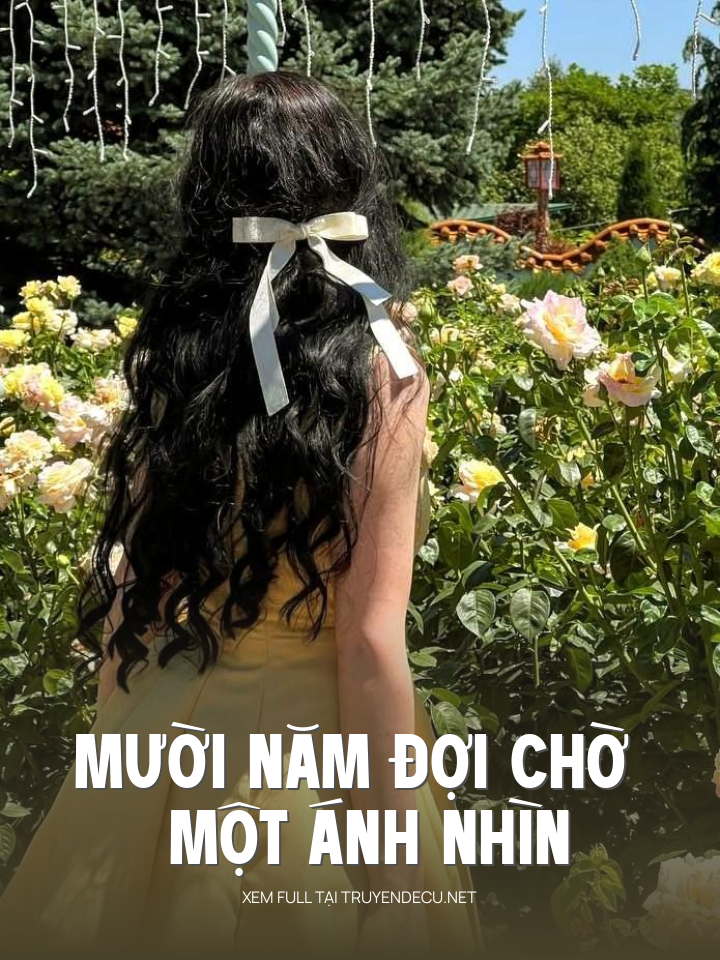 Mười Năm Đợi Chờ Một Ánh Nhìn