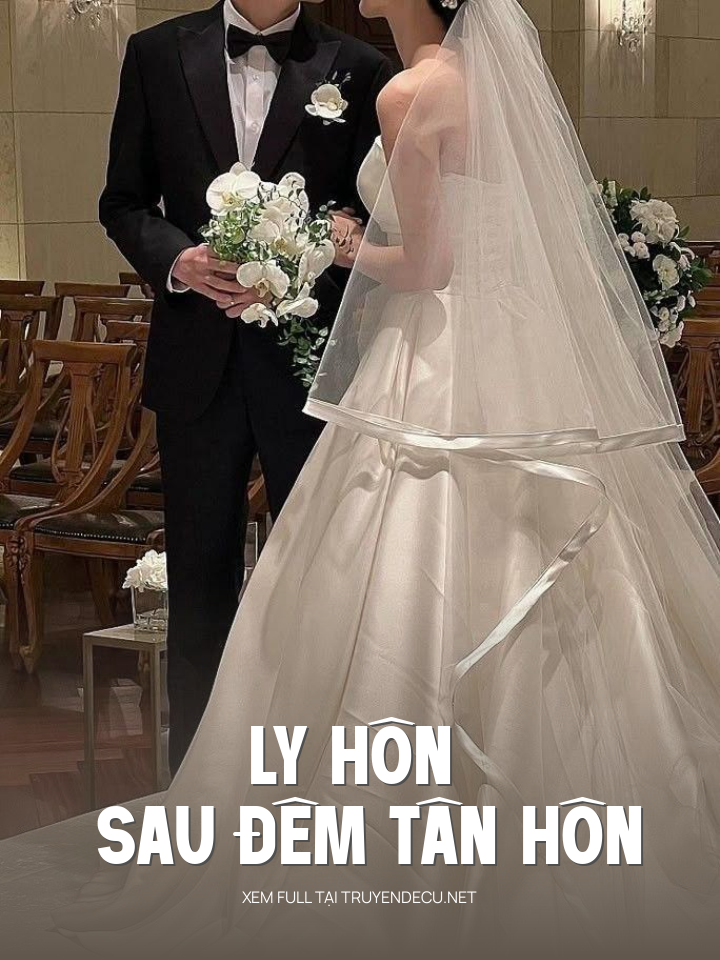 
                            Ly Hôn Sau Đêm Tân Hôn