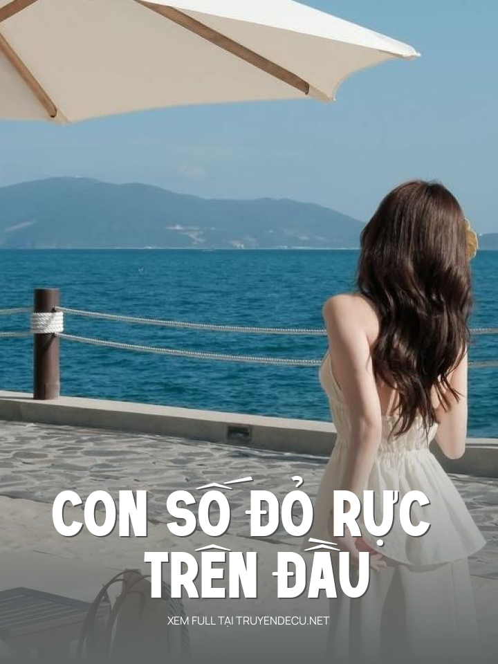 
                            Con Số Đỏ Rực Trên Đầu