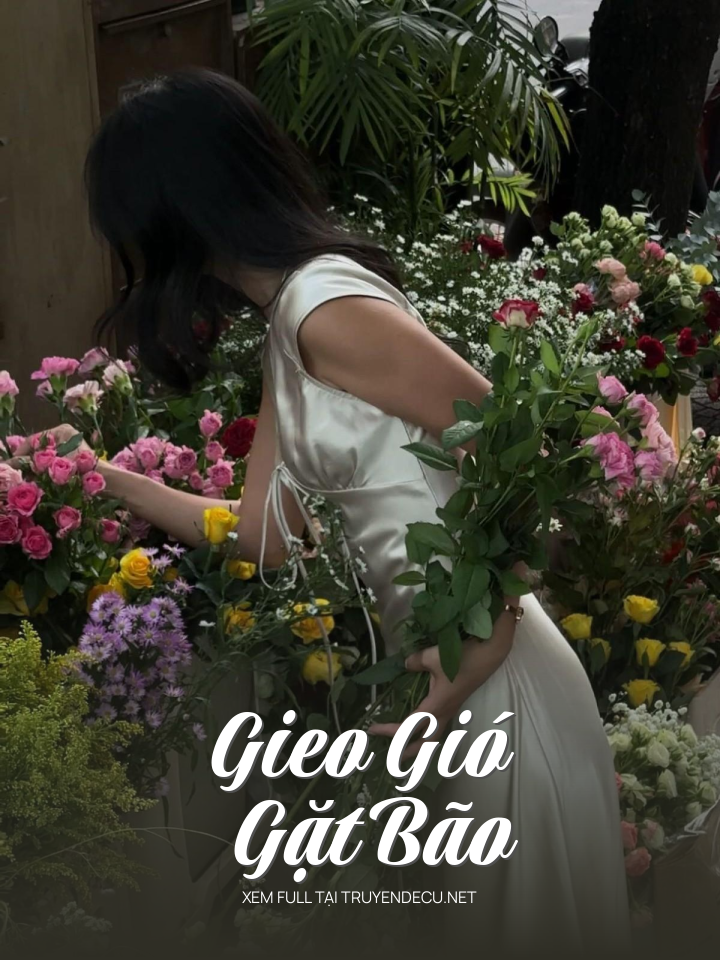 
                            Gieo Gió Gặt Bão