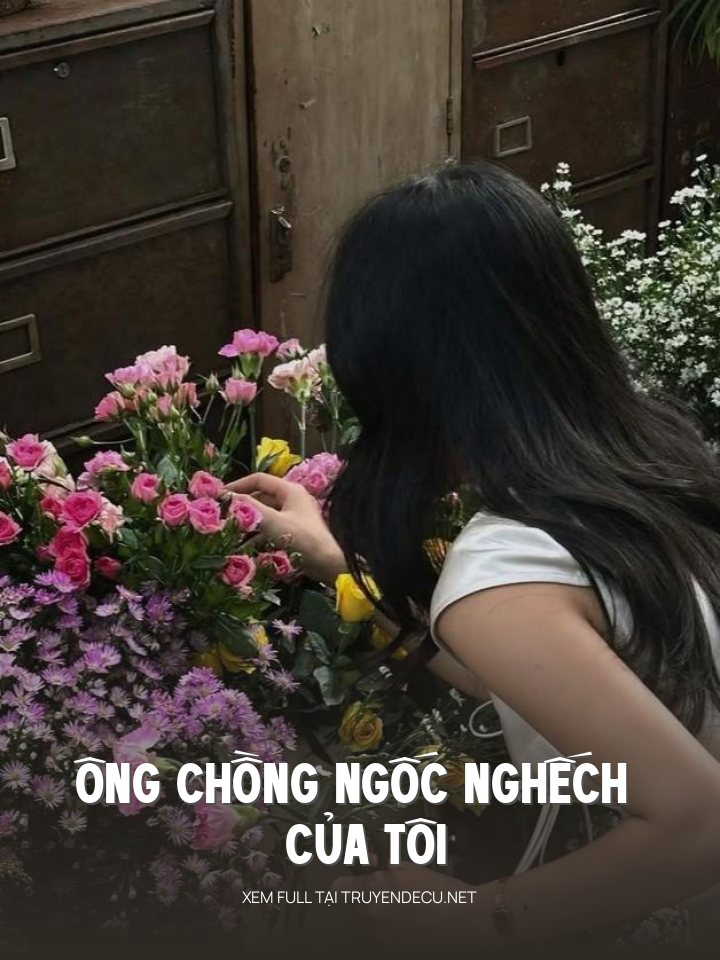 
                            Ông Chồng Ngốc Nghếch Của Tôi