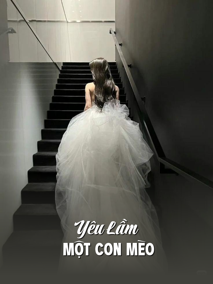 
                            Yêu Lầm Một Con Mèo