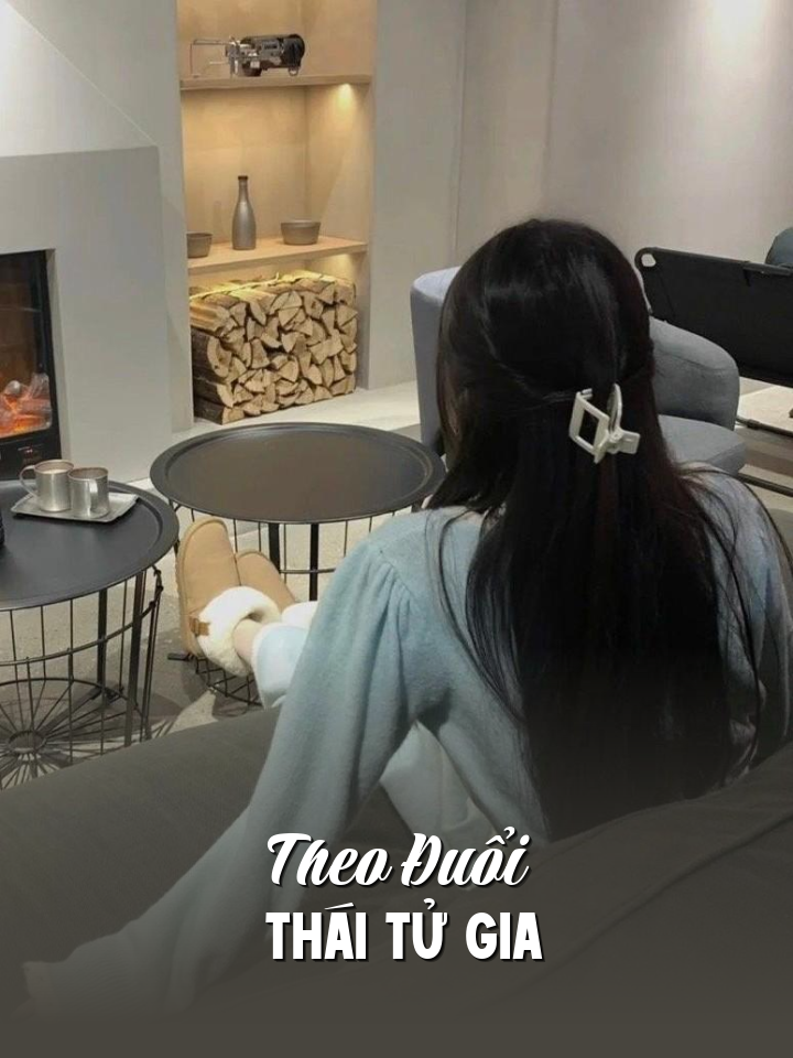 
                            Theo Đuổi Thái Tử Gia