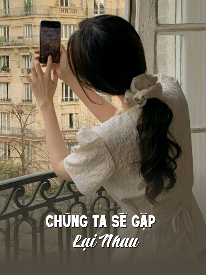 
                            Chúng Ta Sẽ Gặp Lại Nhau