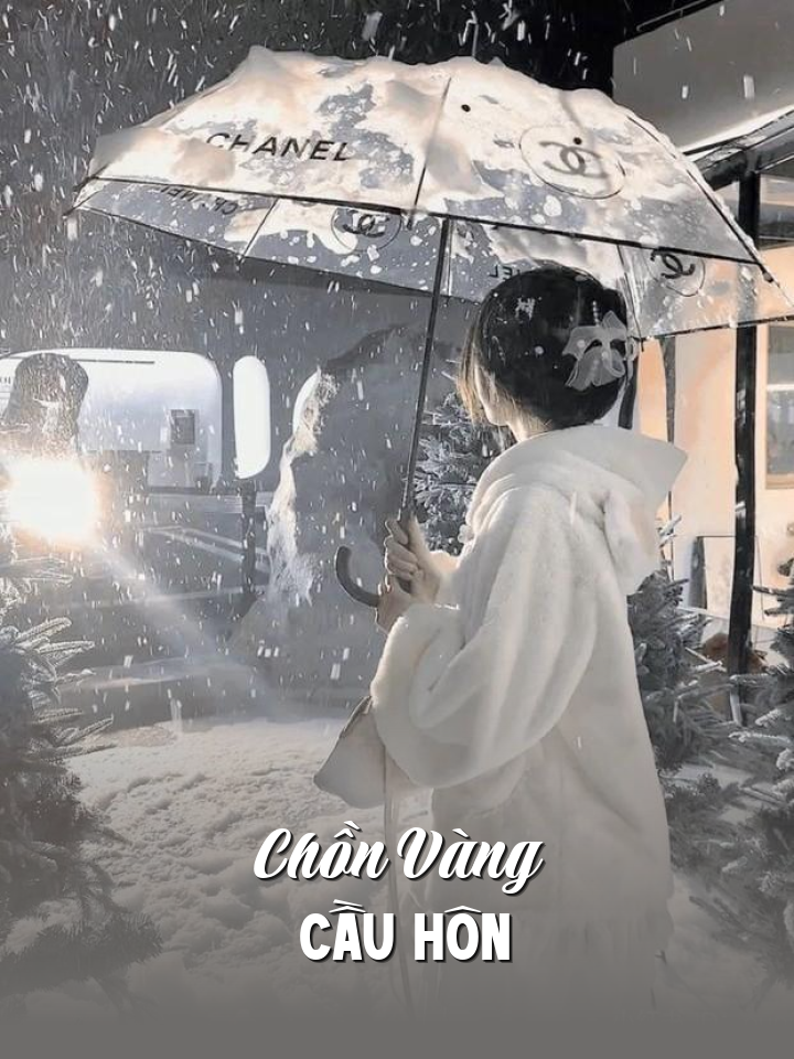 
                            Chồn Vàng Cầu Hôn