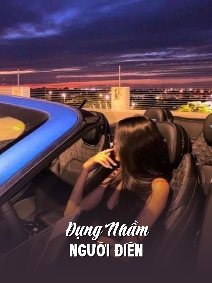 
                            Đụng Nhầm Người Điên
