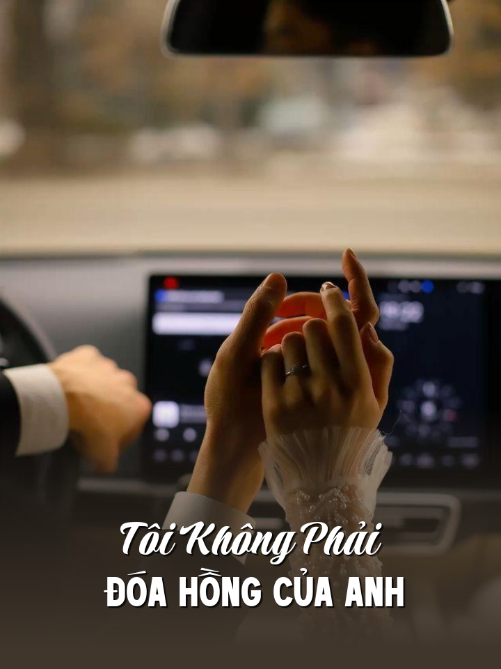 
                            Tôi Không Phải Đóa Hồng Của Anh