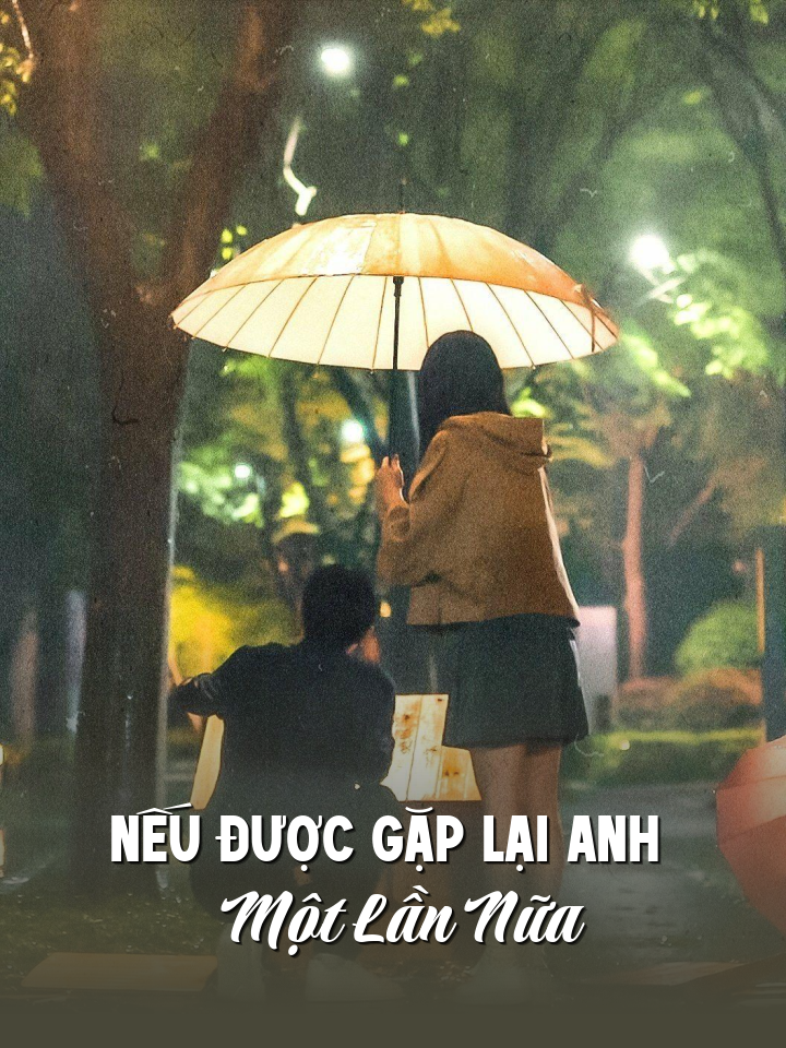 
                            Nếu Được Gặp Lại Anh Một Lần Nữa