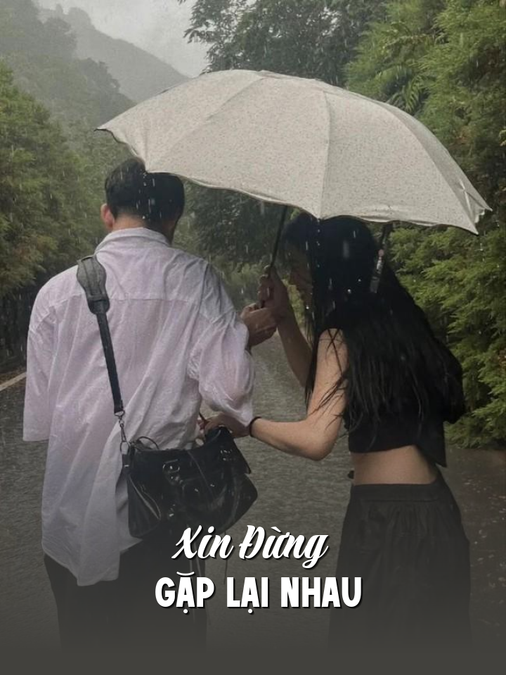 Xin Đừng Gặp Lại Nhau